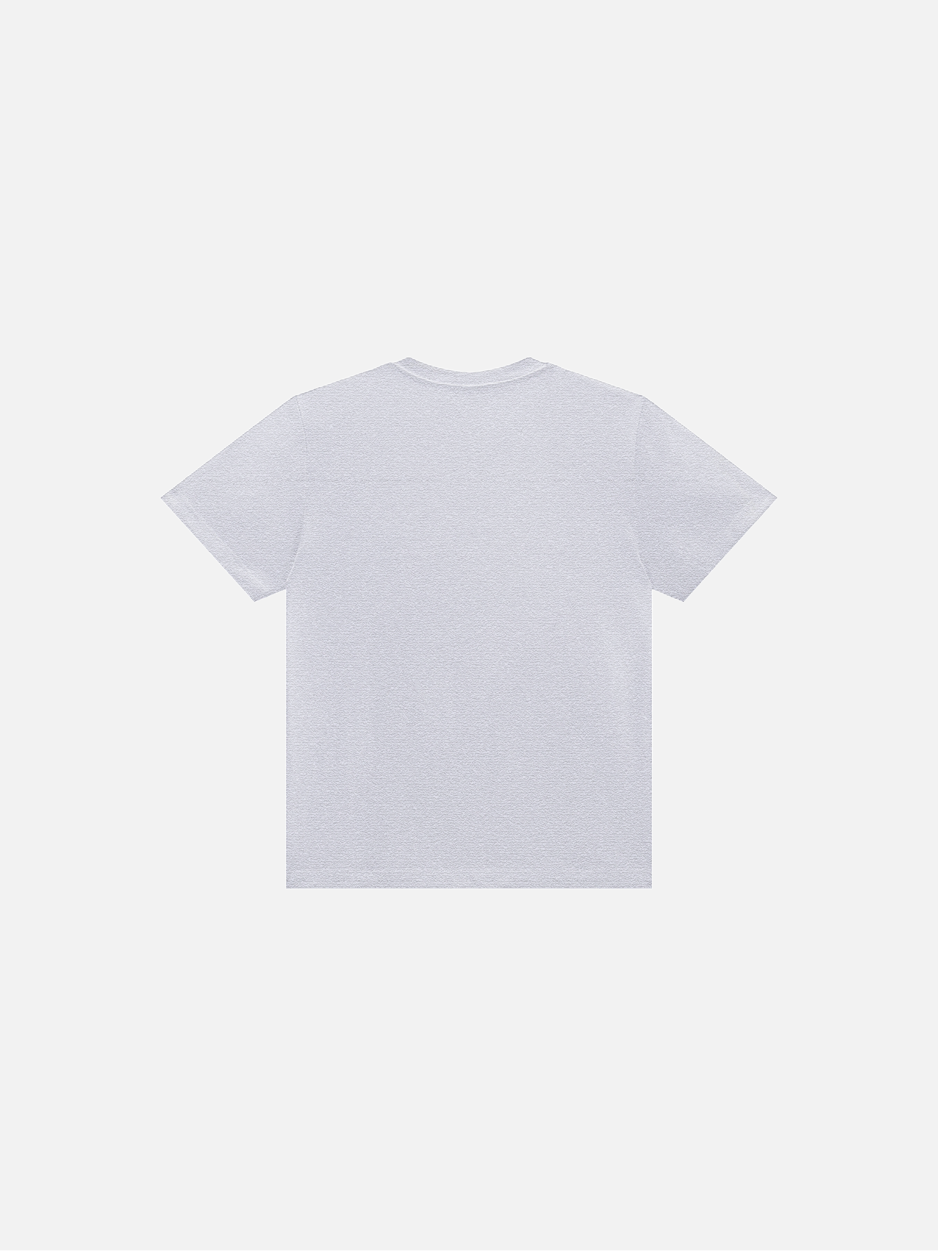 Sport Fitted T-shirt
