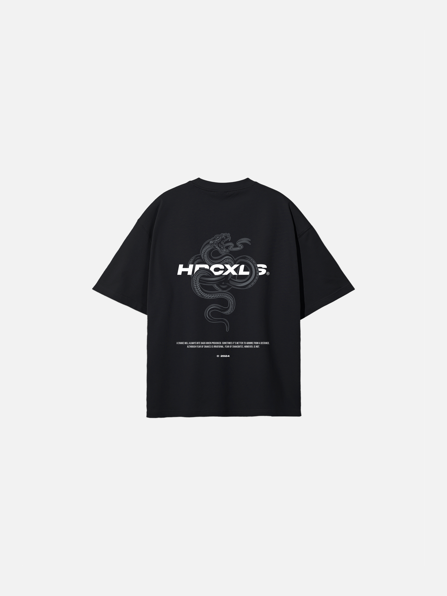 HERCXLES: Venom V2 Oversized T-Shirt - Black back flat lay