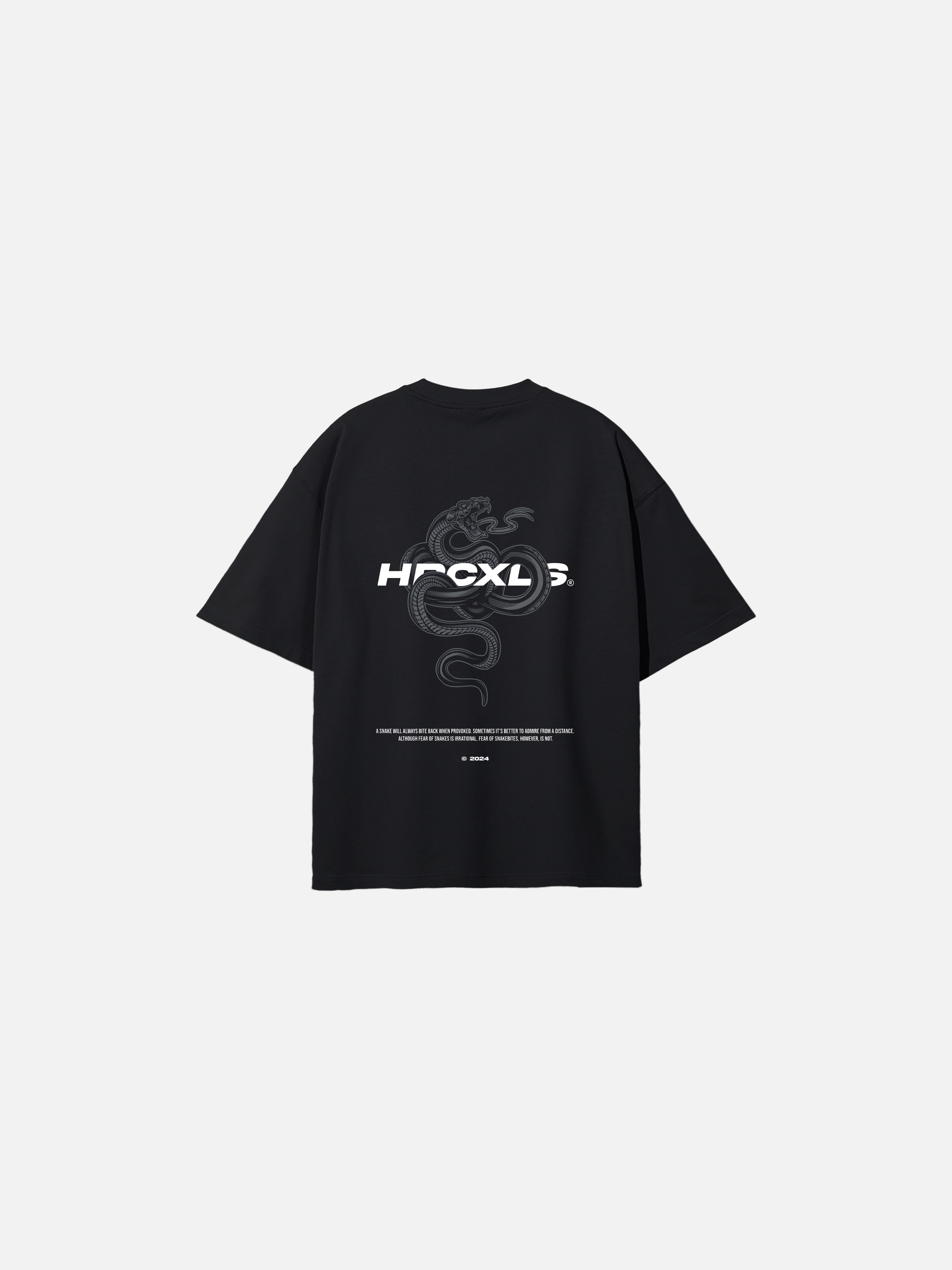 HERCXLES: Venom V2 Oversized T-Shirt - Black back flat lay