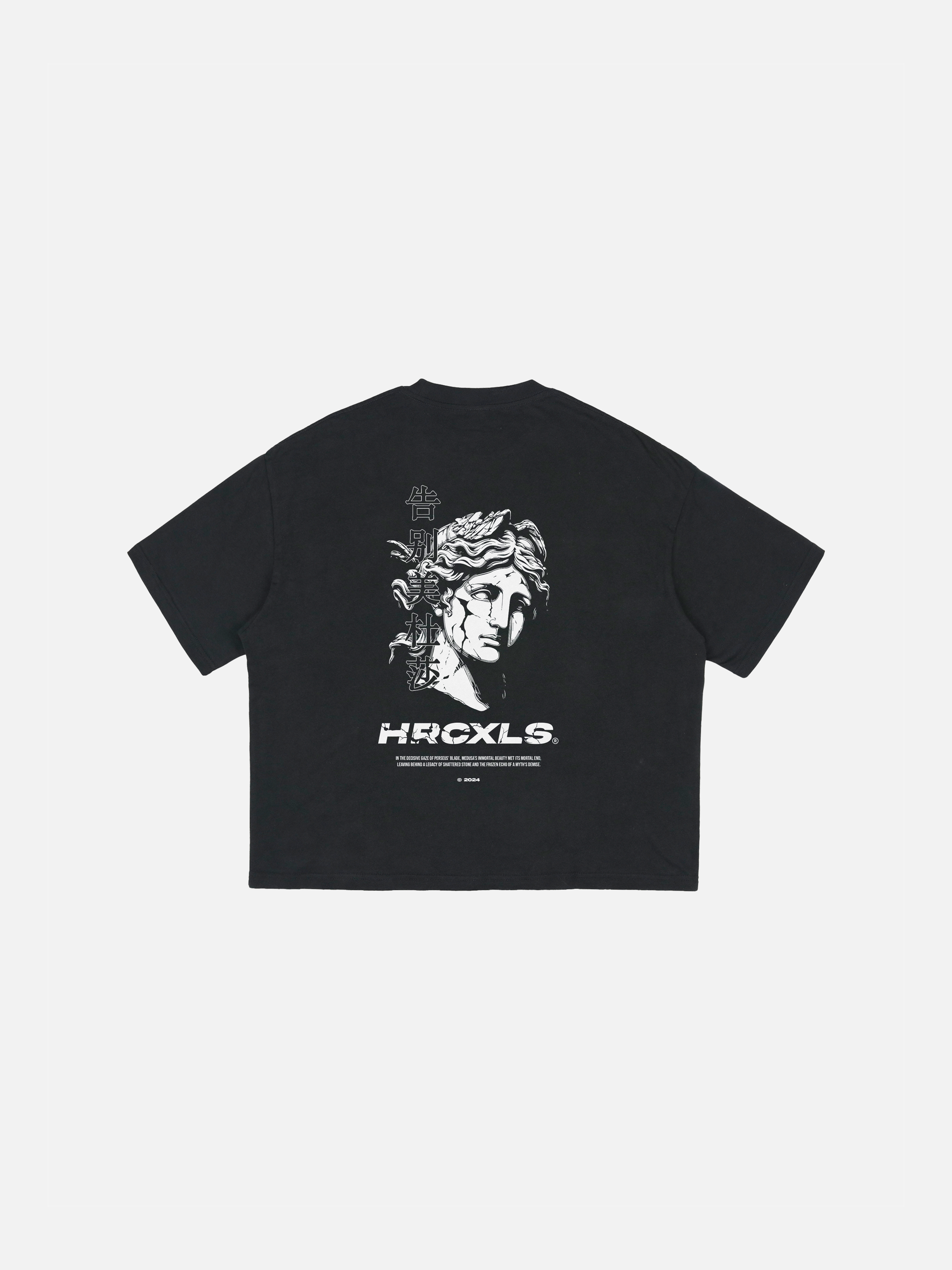 HERCXLES: Medusa Oversized T-Shirt - Black back flat lay