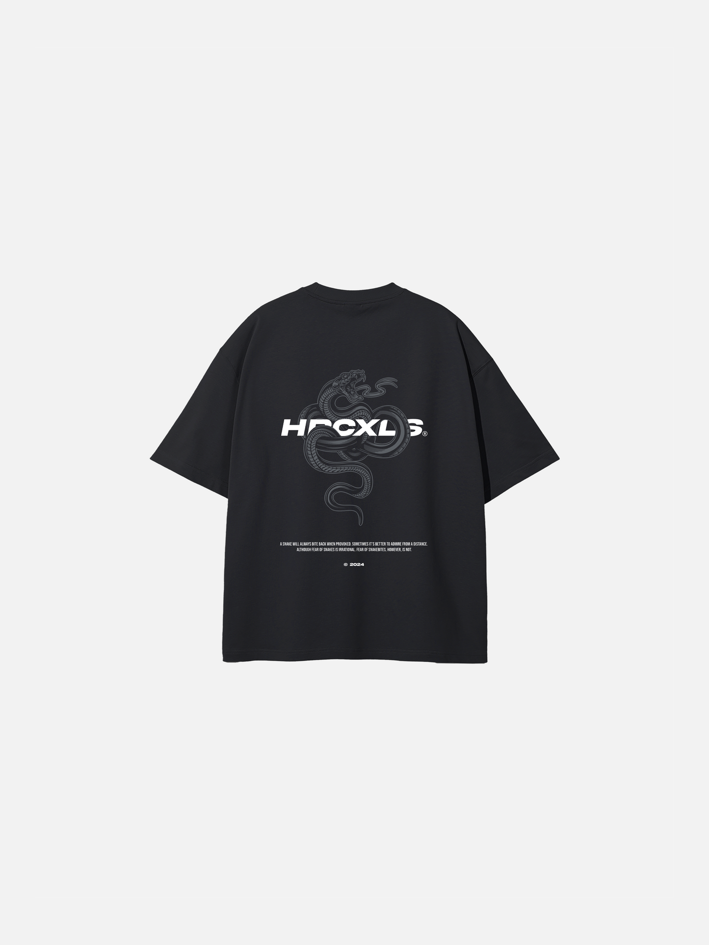 HERCXLES: Venom V2 Oversized T-Shirt - Black front flat lay