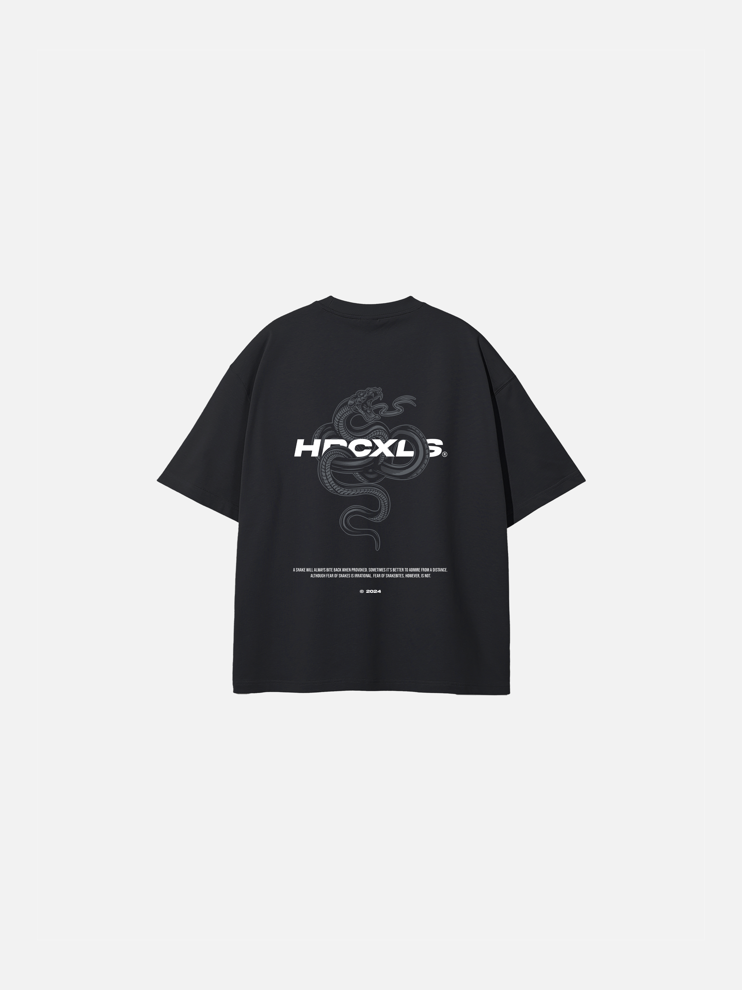 HERCXLES: Venom V2 Oversized T-Shirt - Black front flat lay