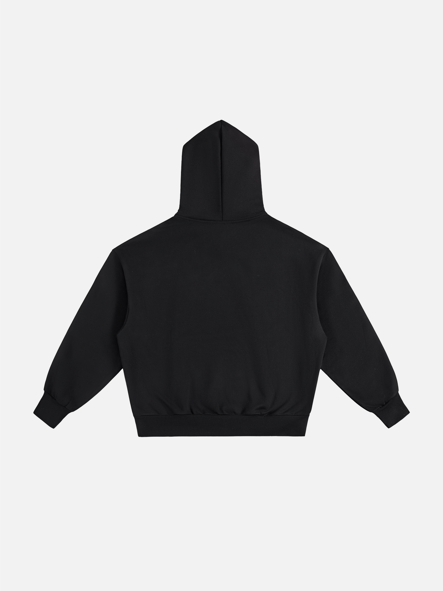 Logo Heavyweight Hoodie - Black back flat lay