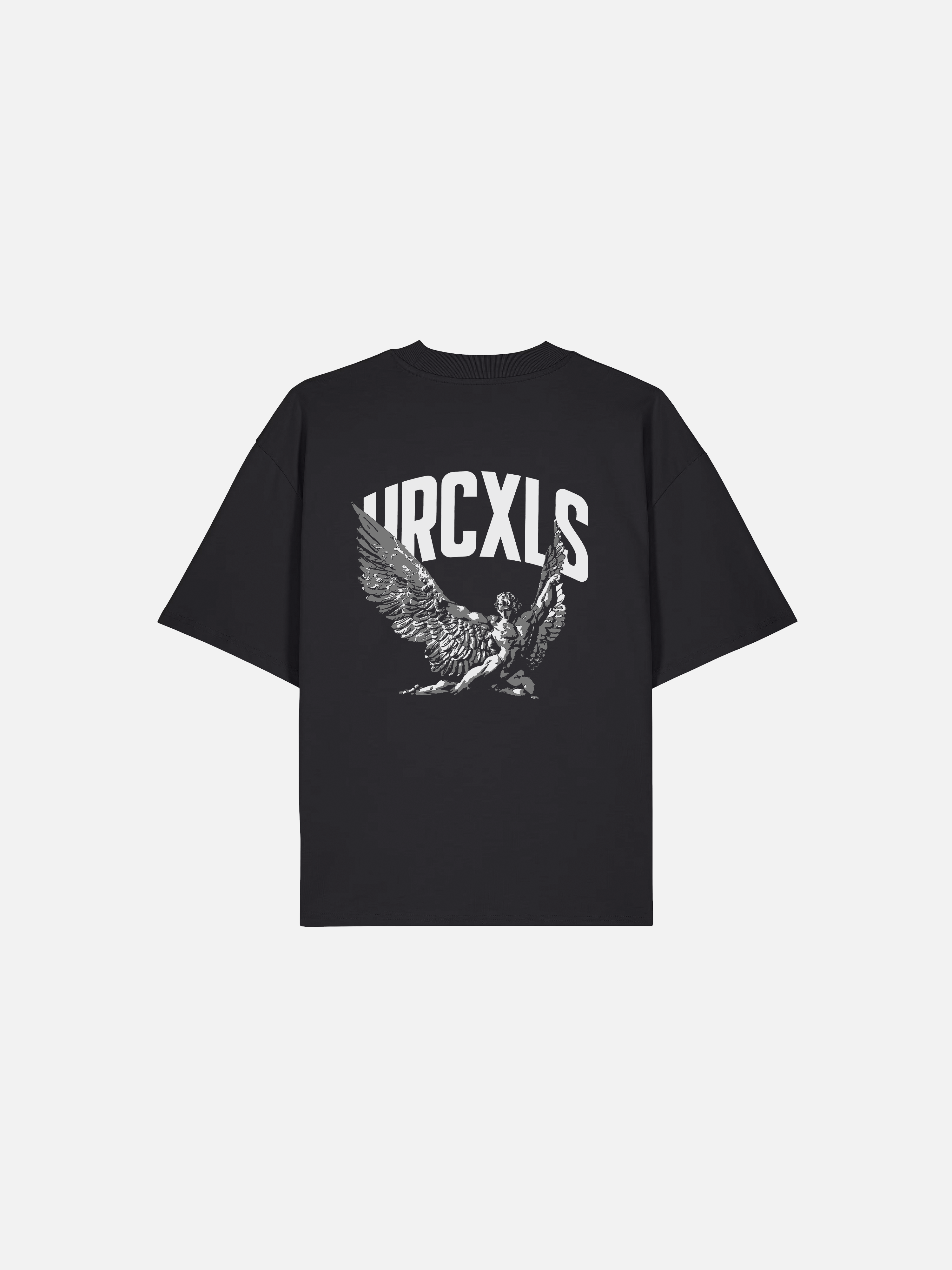 Icarus Heavy Oversized T-shirt