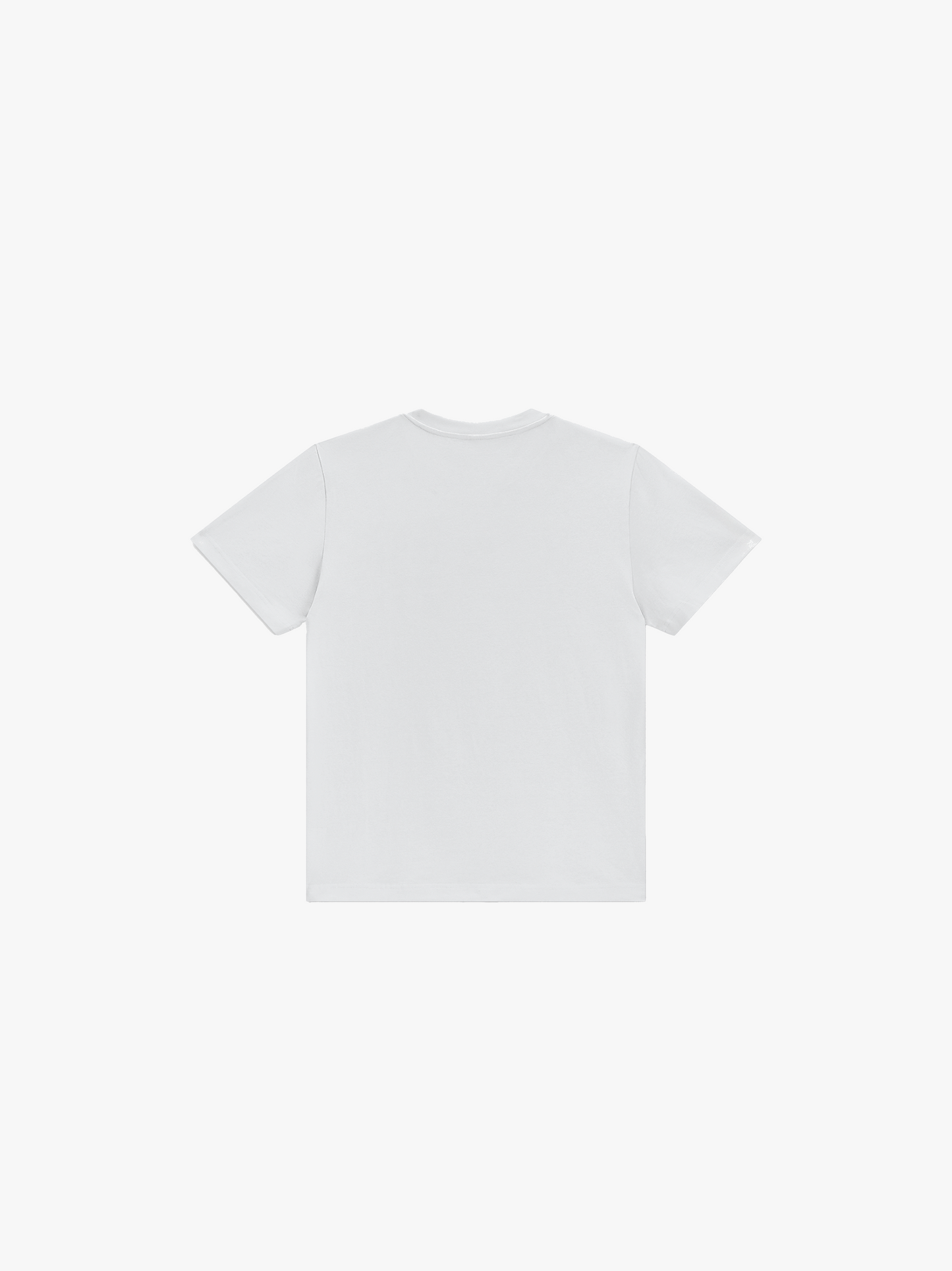 Sport Fitted T-shirt
